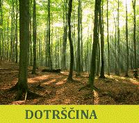 Dotrščina kros utrka