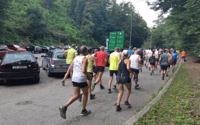 PUNTIJARKA 2019 rezime