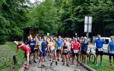 PUNTIJARKA 2020 rezime