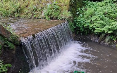 Ljetna liga Puntijarka Godina 2025.